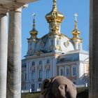  Peterhof (Vorstadt-Residenz der russ.Zaren)