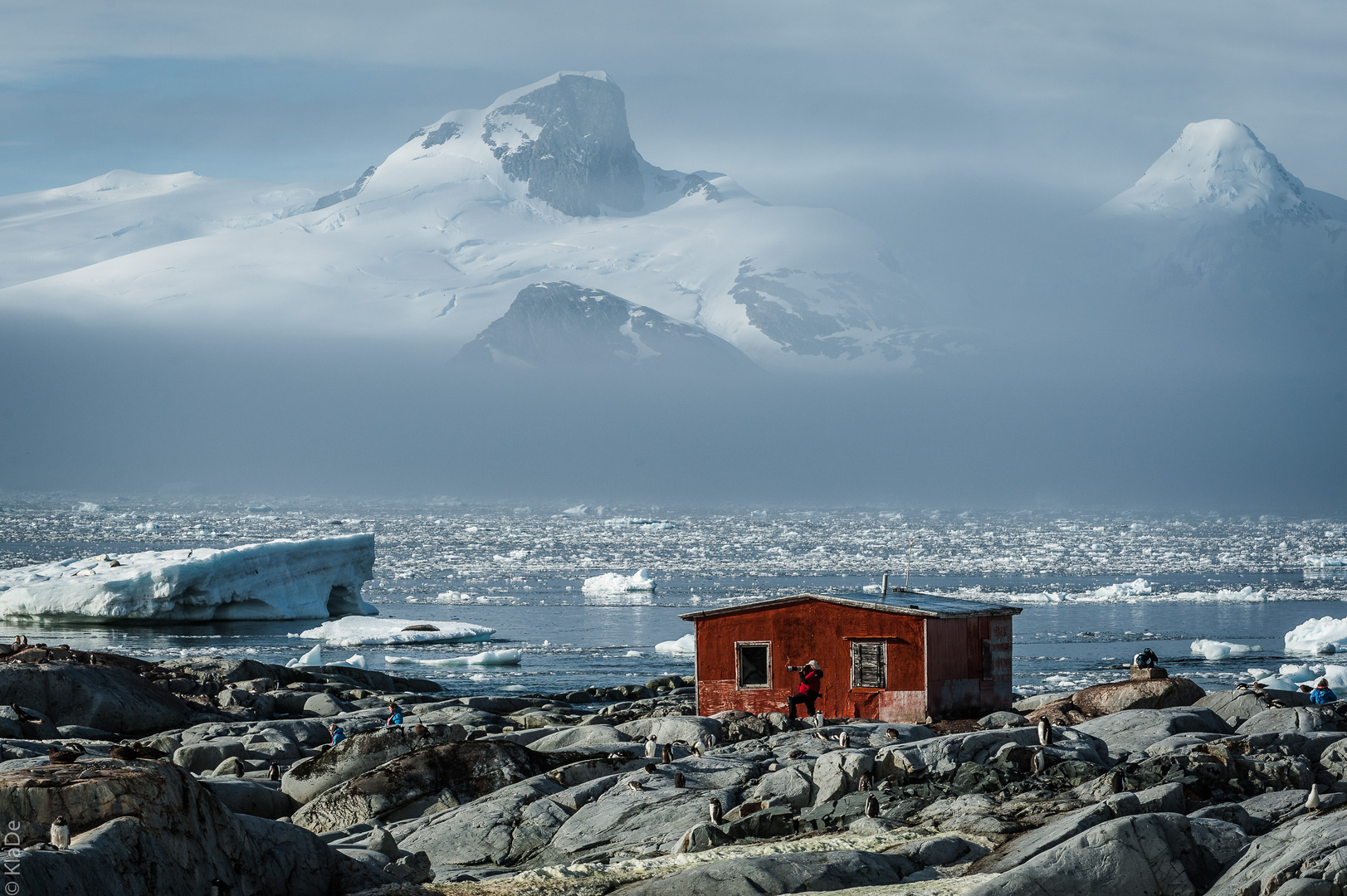 Peterman Island - Argentinische Schutzhütte