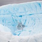 Peterman Island - Das magische Leuchten der Eisberge
