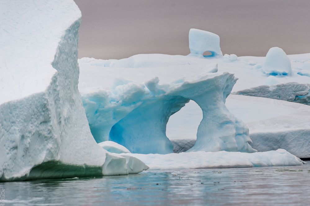 Peterman Island - Das magische Leuchten der Eisberge