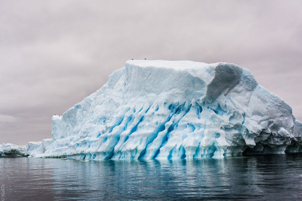 Peterman Island - Das magische Leuchten der Eisberge