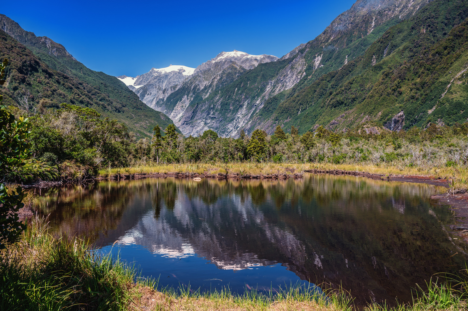 Peter´s Pool - Westland National Park, Neuseeland