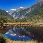 Peter´s Pool - Westland National Park, Neuseeland