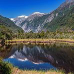 Peter´s Pool - Westland National Park, Neuseeland