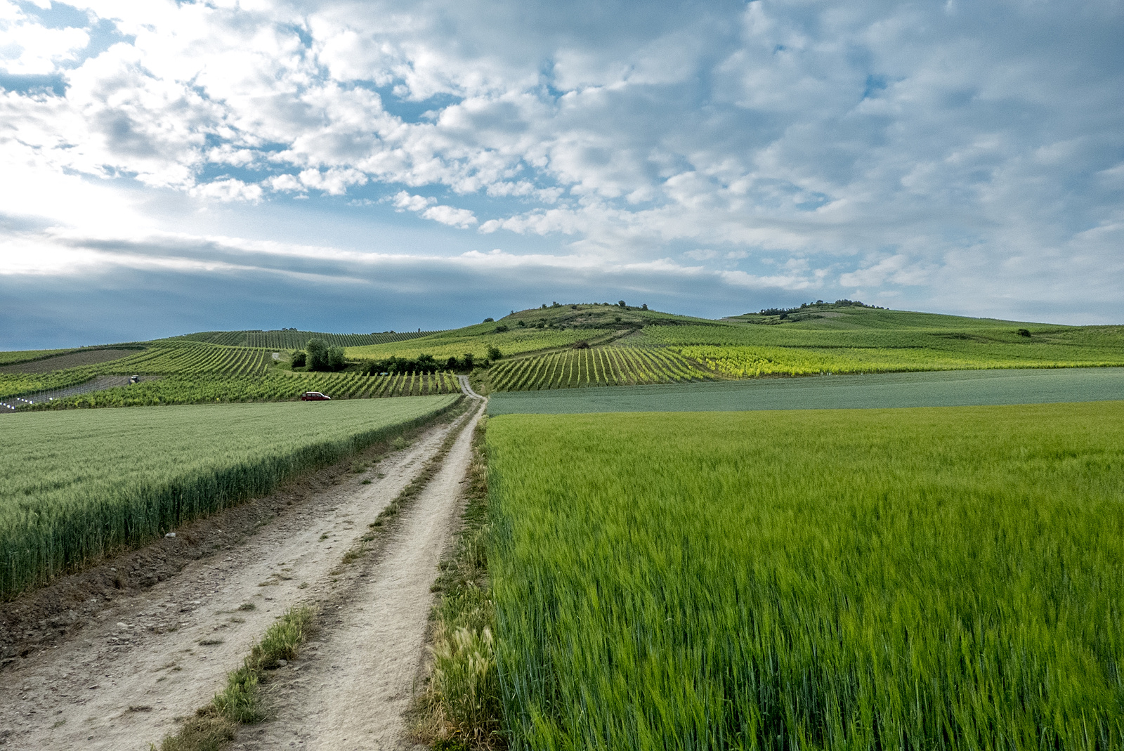 Petersberg in Gau-Odernheim