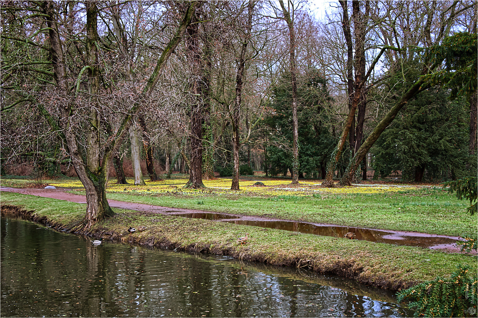 Petersberg (Ostrau), Winterlinge