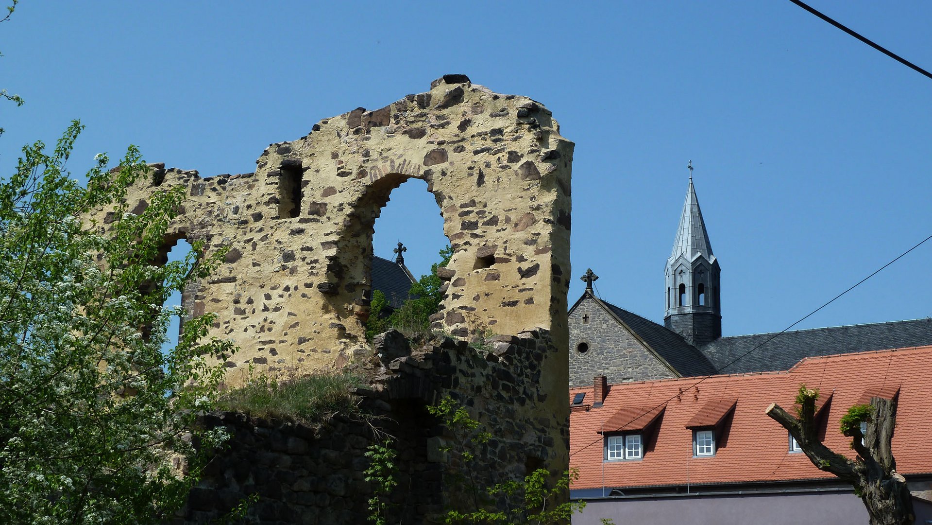 Petersberg: Ruine + Stiftskirche St. Petrus