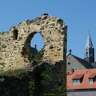 Petersberg: Ruine + Stiftskirche St. Petrus