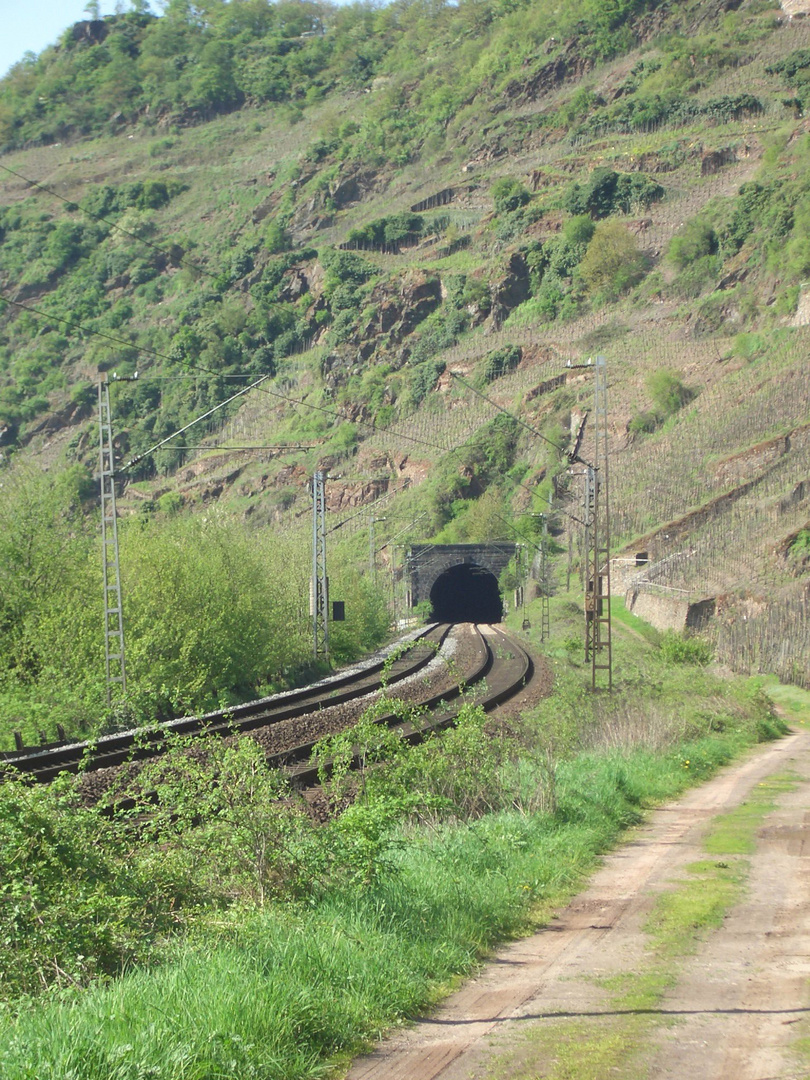 Petersberg-Tunnel bei Neef (Mosel)