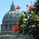 Petersdom mit Rosen