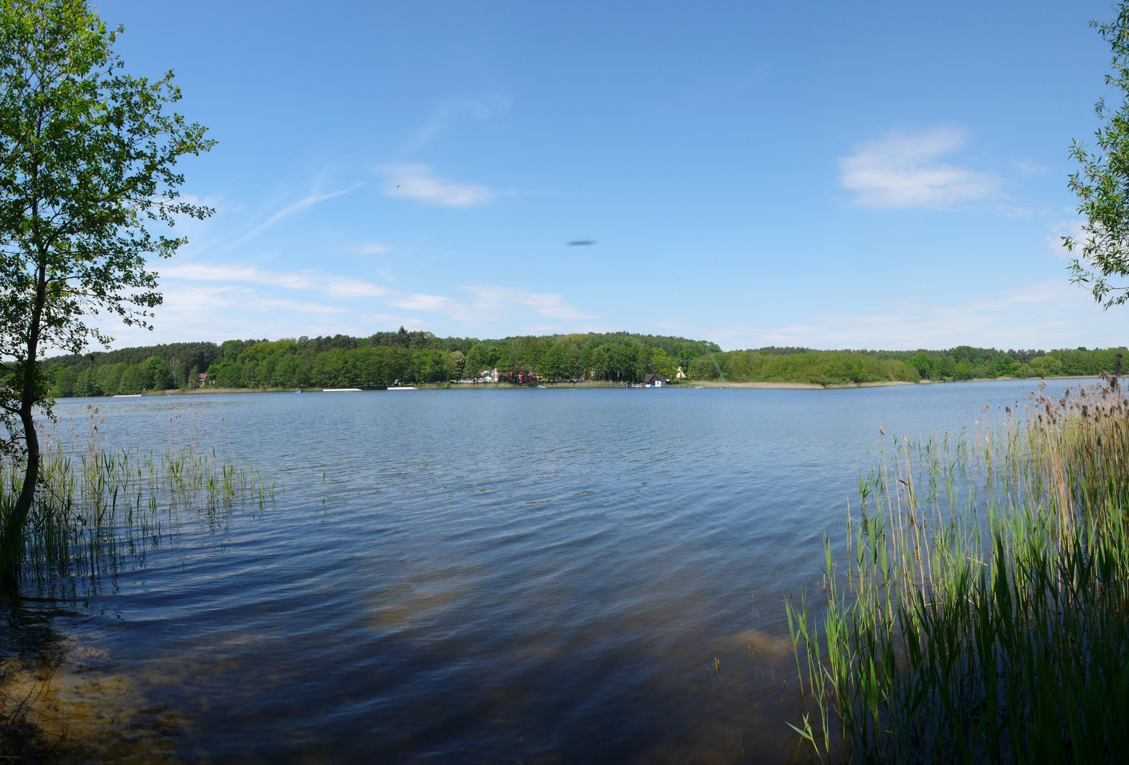 Petersdorfer See - Nähe Bad Saarow