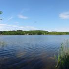 Petersdorfer See - Nähe Bad Saarow