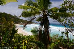 Petit Anse - La Digue - Seychellen