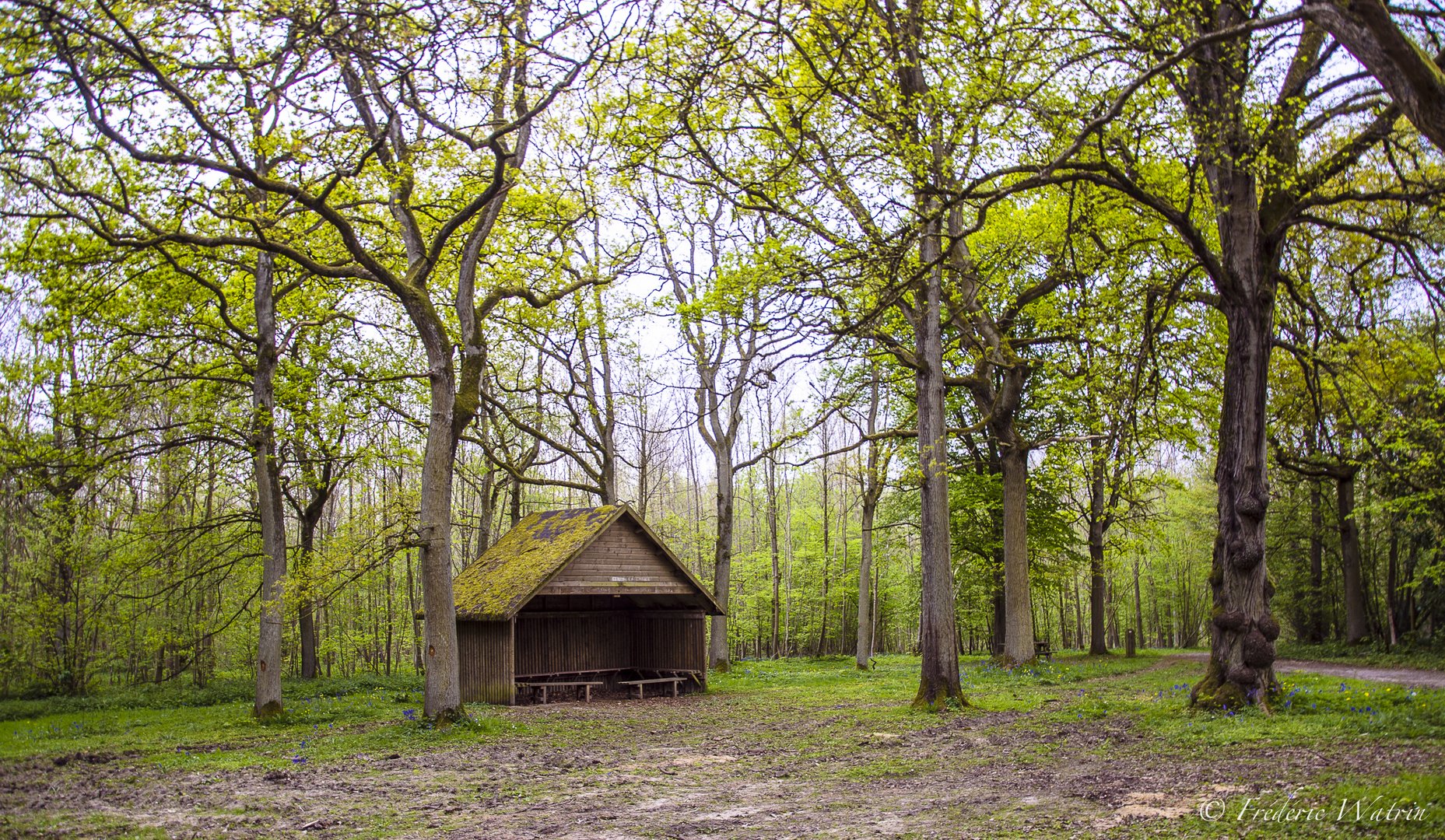 Petit arrêt au Bois de Maroeuil