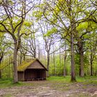 Petit arrêt au Bois de Maroeuil