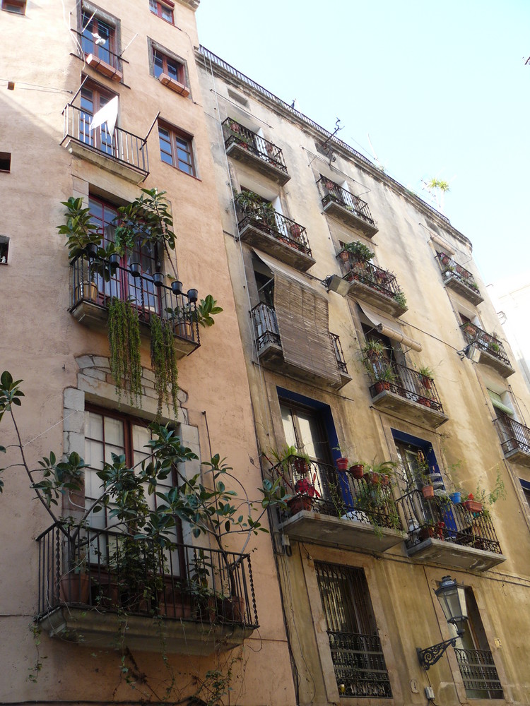 petit balcon fleuri