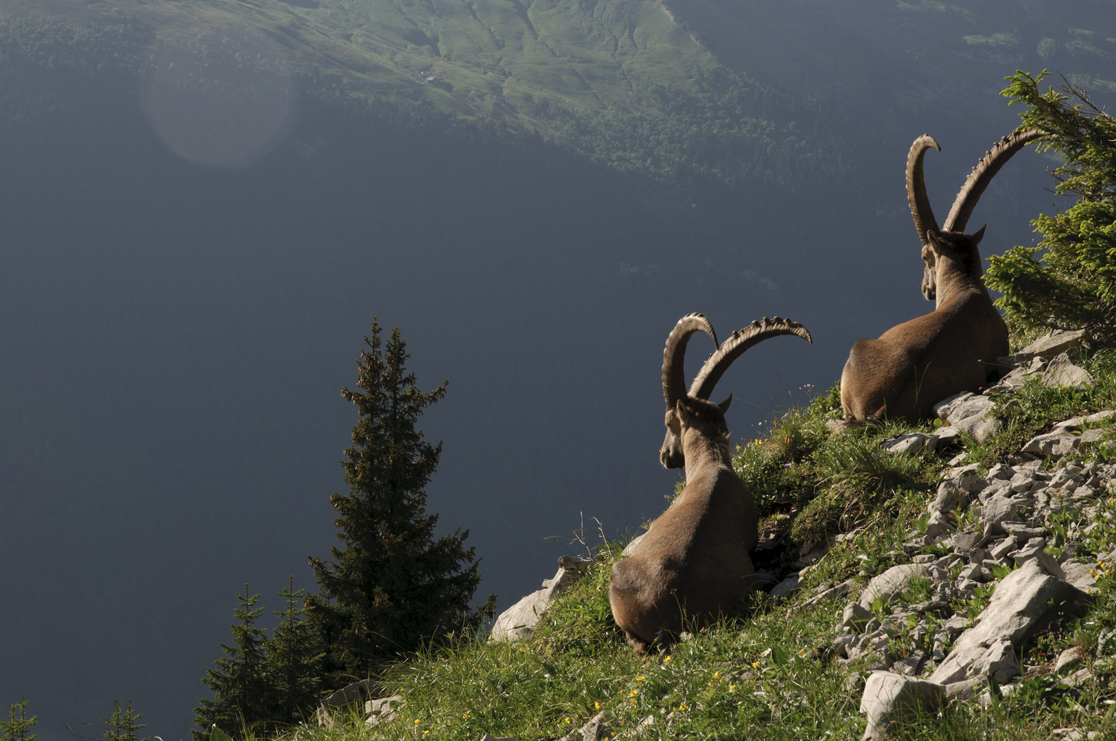 Petit Bargy : Haute Savoie