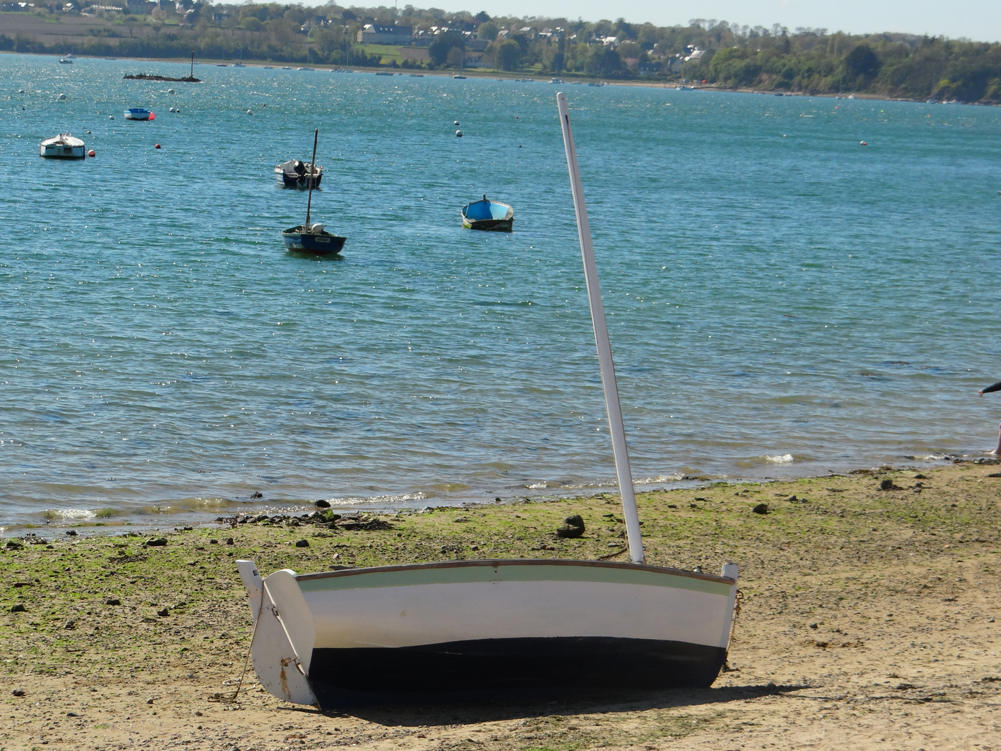 petit bateau sans l'eau