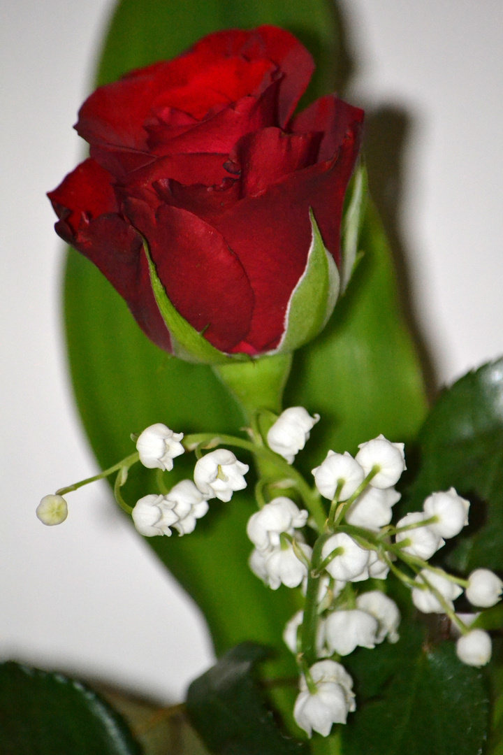 Petit bouquet de 1er Mai