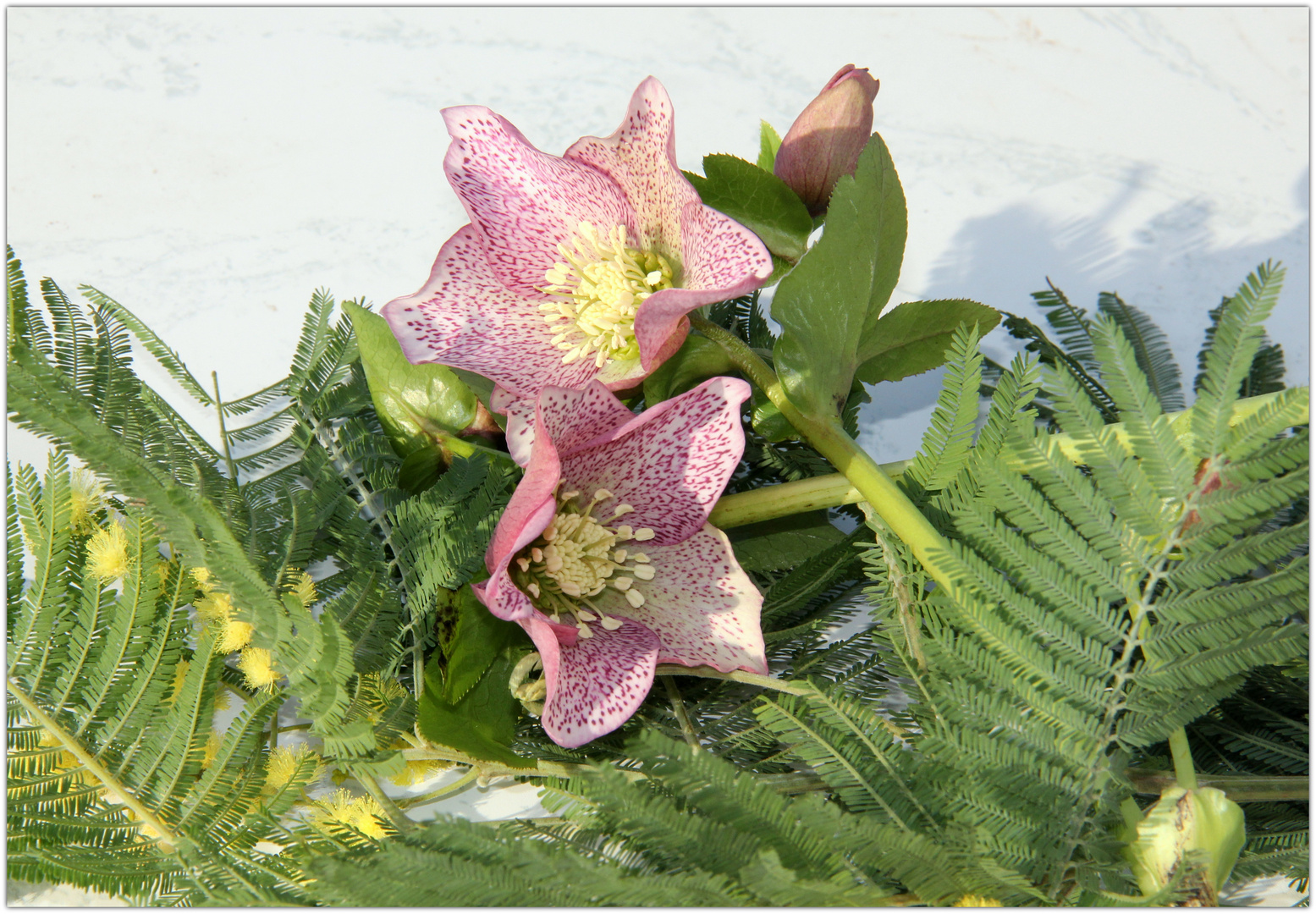 Petit bouquet hivernal