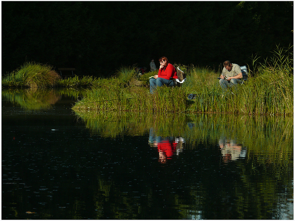 Petit Camargue