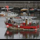 " Petit chalutier dans le port de Concarneau "