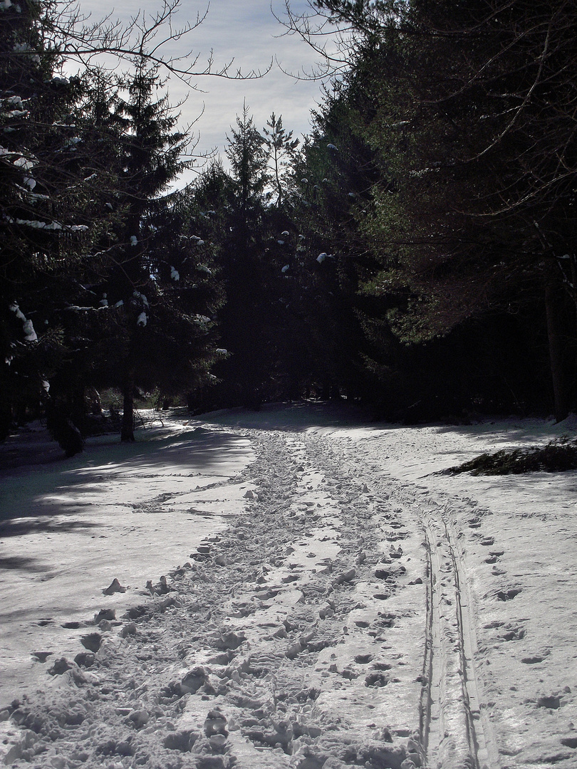 PETIT CHEMIN BLANC JURASSIEN