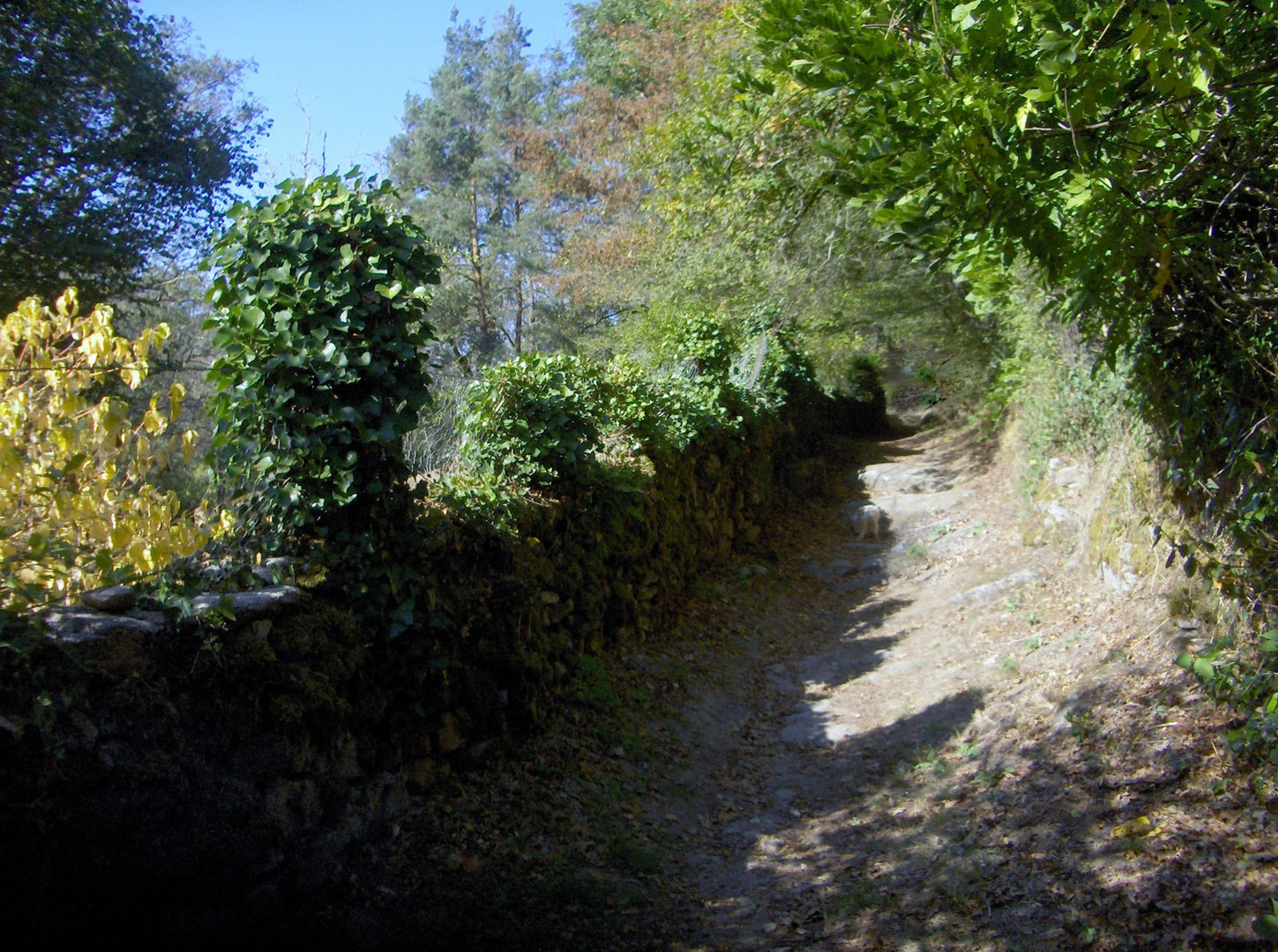 Petit chemin en Creuse au Pont du diable à Crozant