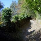 Petit chemin en Creuse au Pont du diable à Crozant