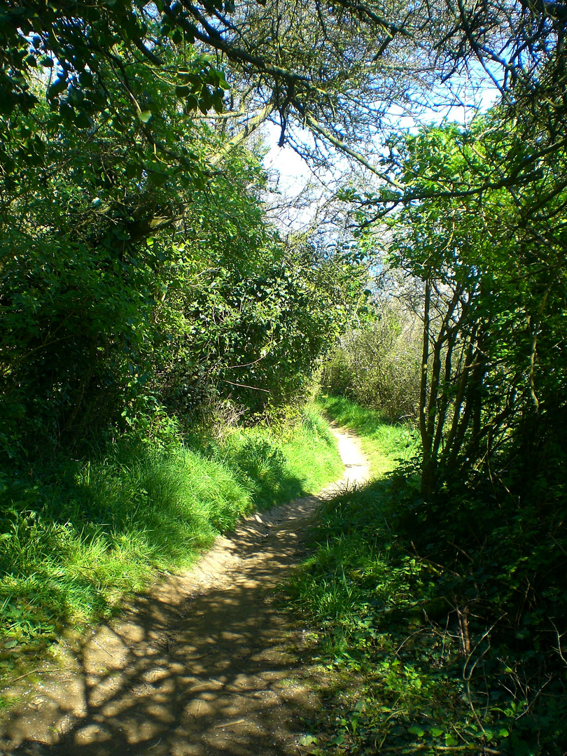 petit chemin qui sent la noisette