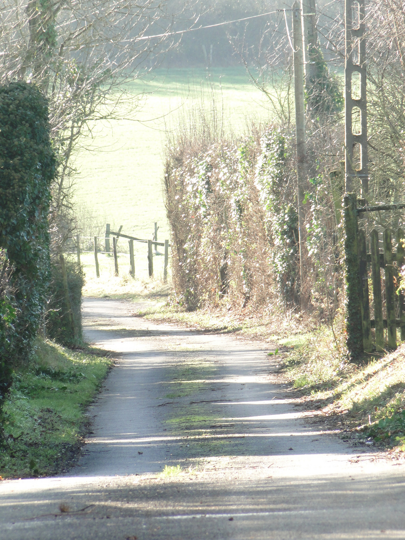 Petit chemin Sarthois