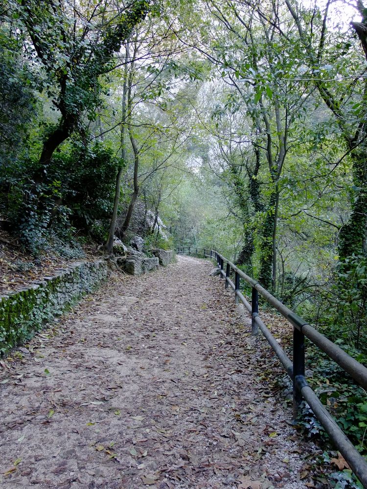 Petit chemin vers la fontaine...