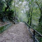 Petit chemin vers la fontaine...