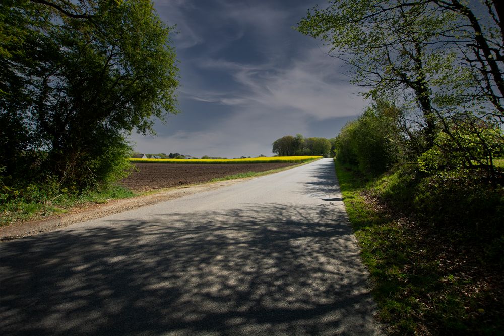 Petit chemin vers la maison