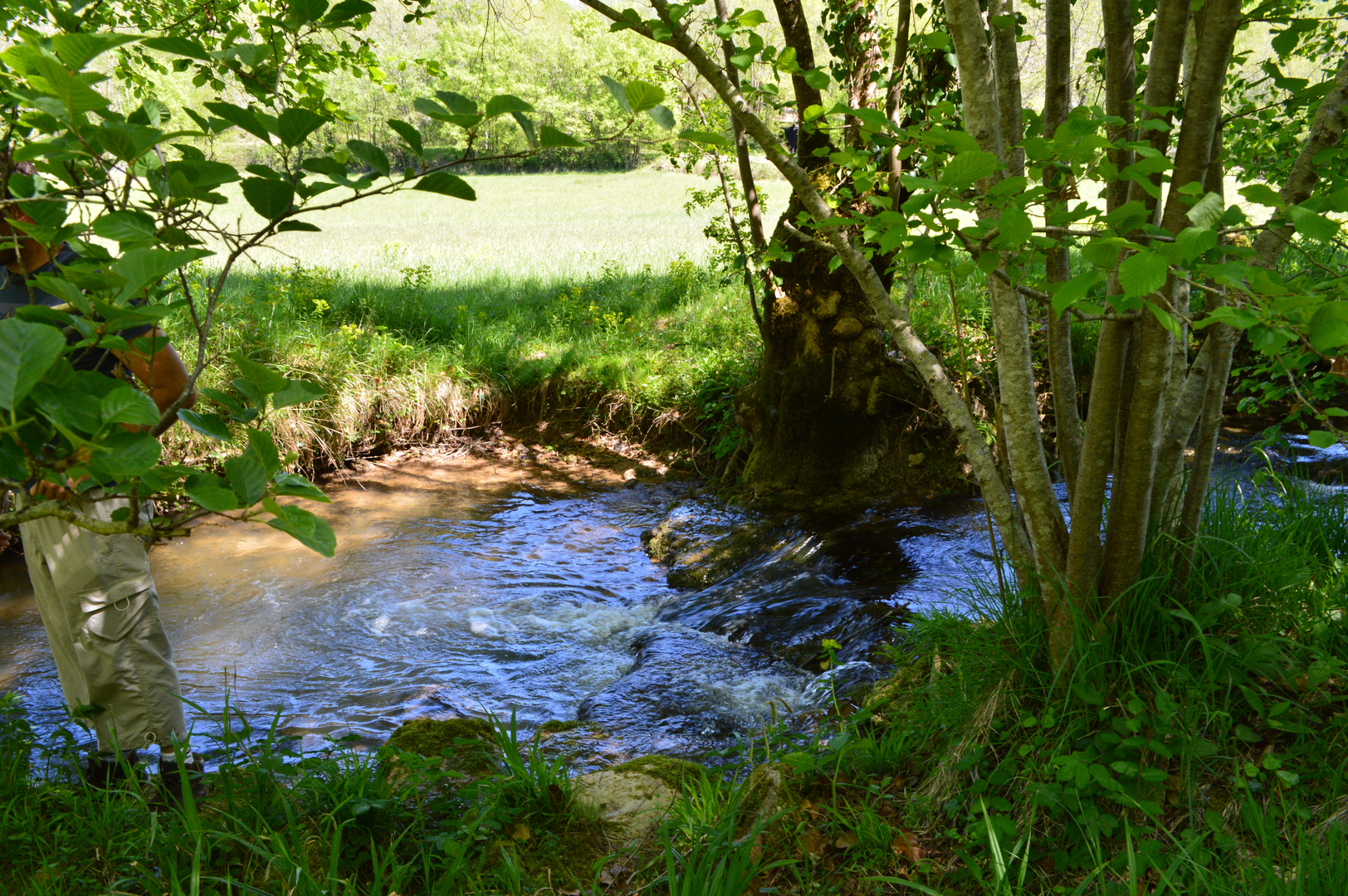 petit coin d'eau