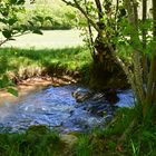 petit coin d'eau