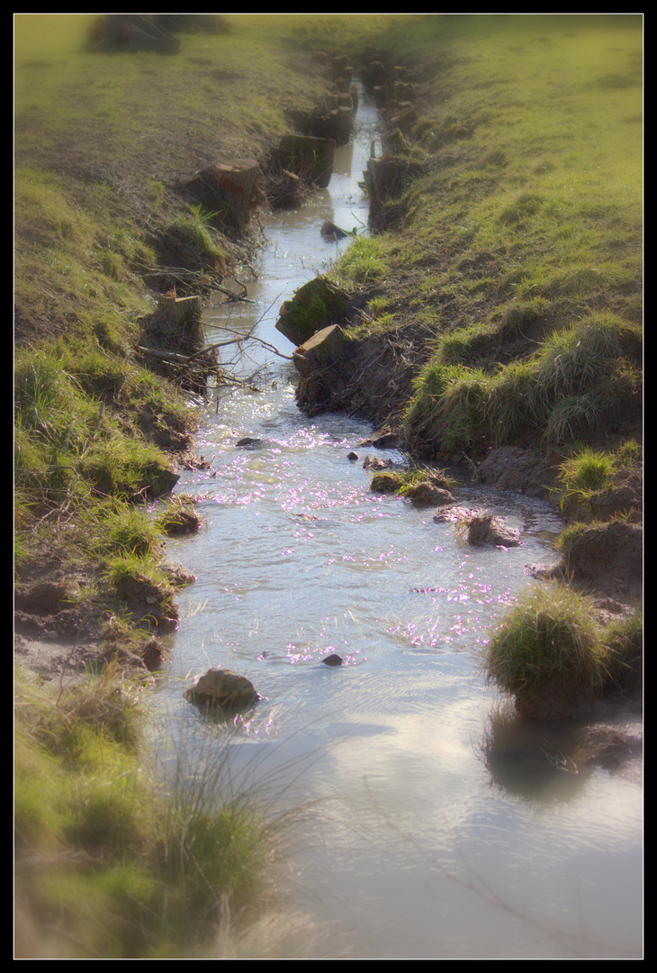 Petit cour d'eau