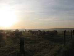 petit déjeuné au lever su soleil