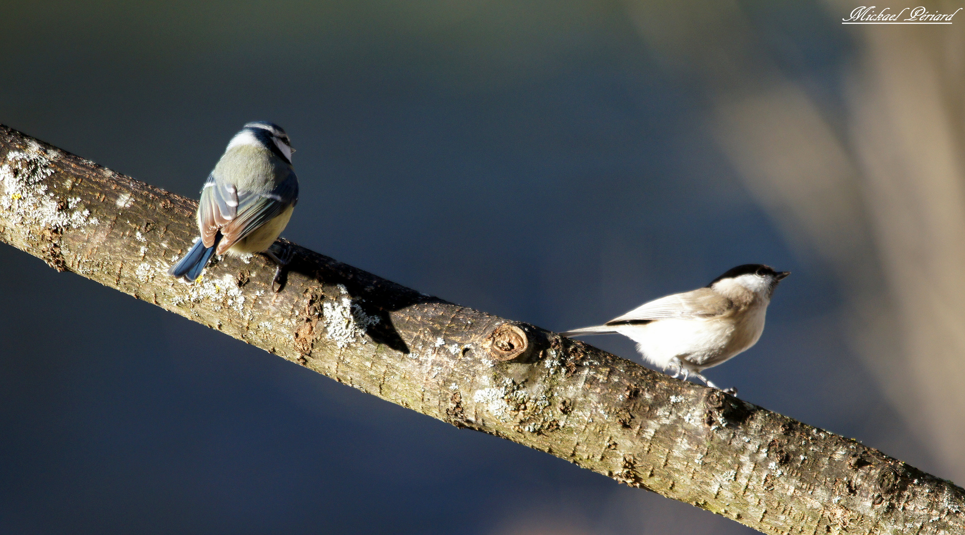 petit duo 2