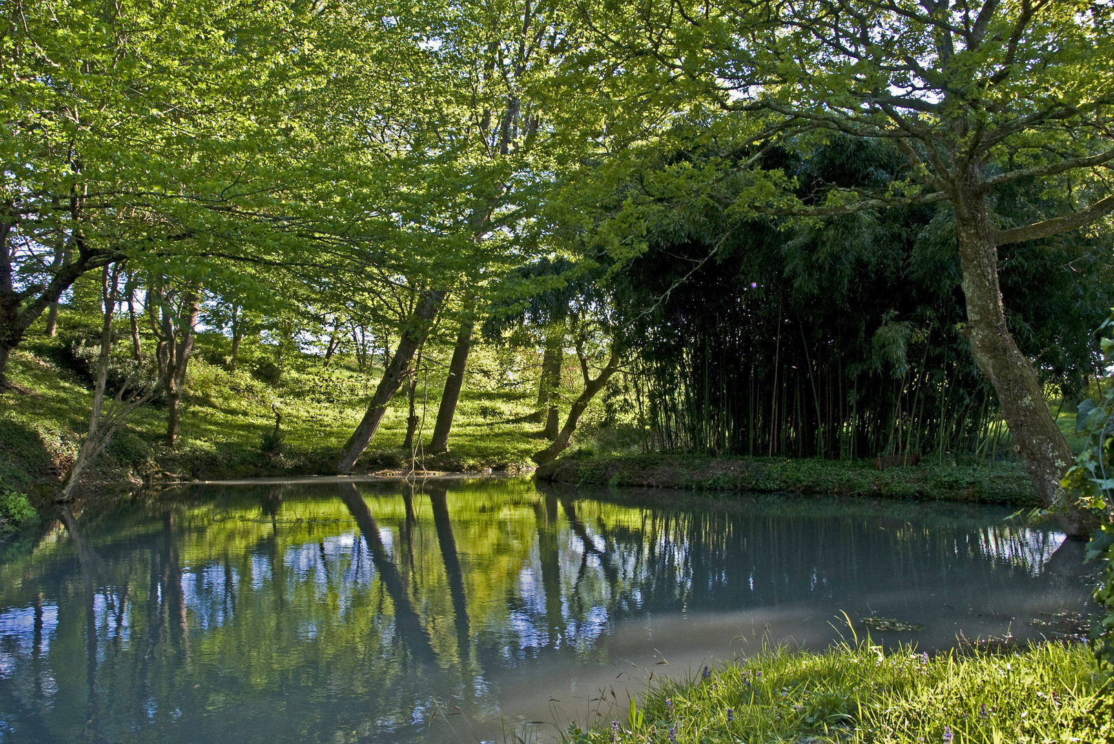 Petit étang du Ruisseau de Lassos près de  Condom