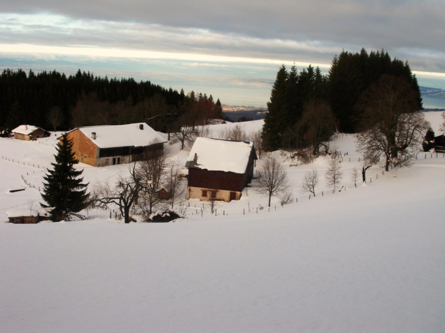 PETIT HAMEAU SAVOYARD