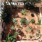 Petit jardin à Sidi Ifni - Kleiner Garten in Sidi Ifni