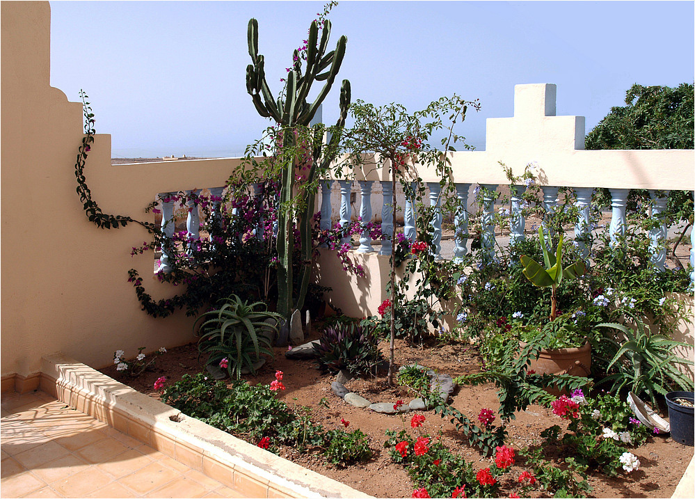 Petit jardin d’une maison à Sidi Ifni - Kleiner Garten von einem Haus in Sidi Ifni