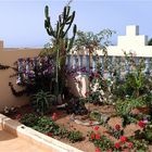 Petit jardin d’une maison à Sidi Ifni - Kleiner Garten von einem Haus in Sidi Ifni