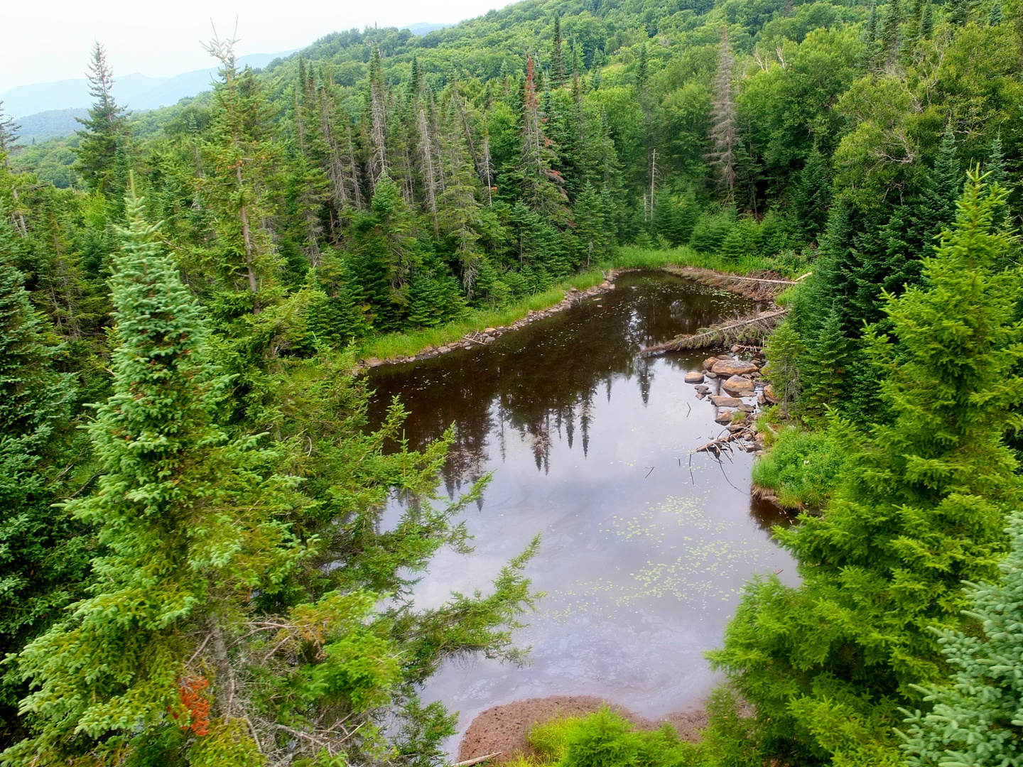 Petit lac au Mont-Tremblant au Québec, Canada