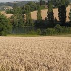 petit lac dans la campagne