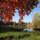 Petit lac de retenue à l’automne