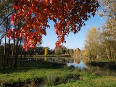 Petit lac de retenue à l’automne