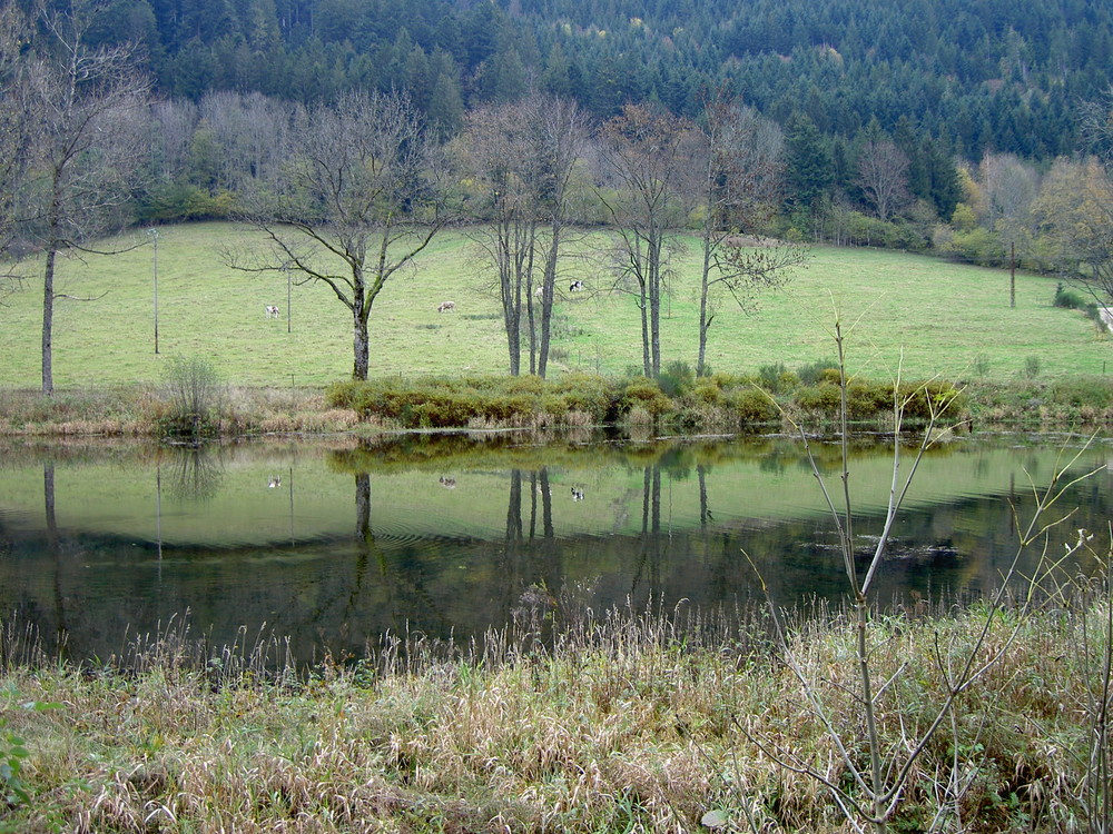 Petit lac vogien