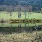 Petit lac vogien